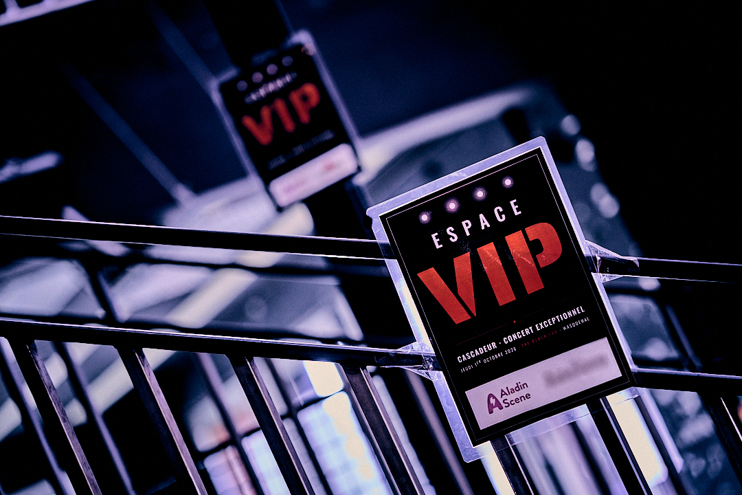 Panneau Espace VIP Cascadeur près de la scène du Black Lab